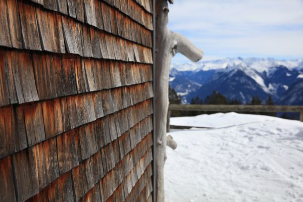 Cedar Siding Repair in Waterloo