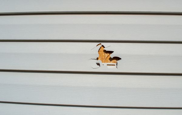 Siding Hole Patching in Waterloo