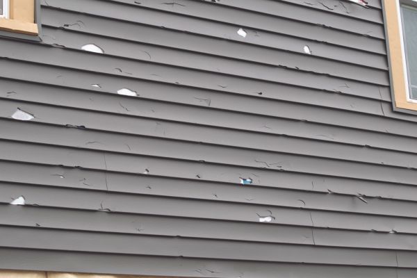 Damaged Siding Replacement in Waterloo
