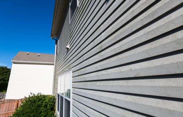 Cost of Vinyl Siding Panel Replacement in Waterloo